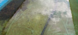 Pilisszentlászló - swimtech